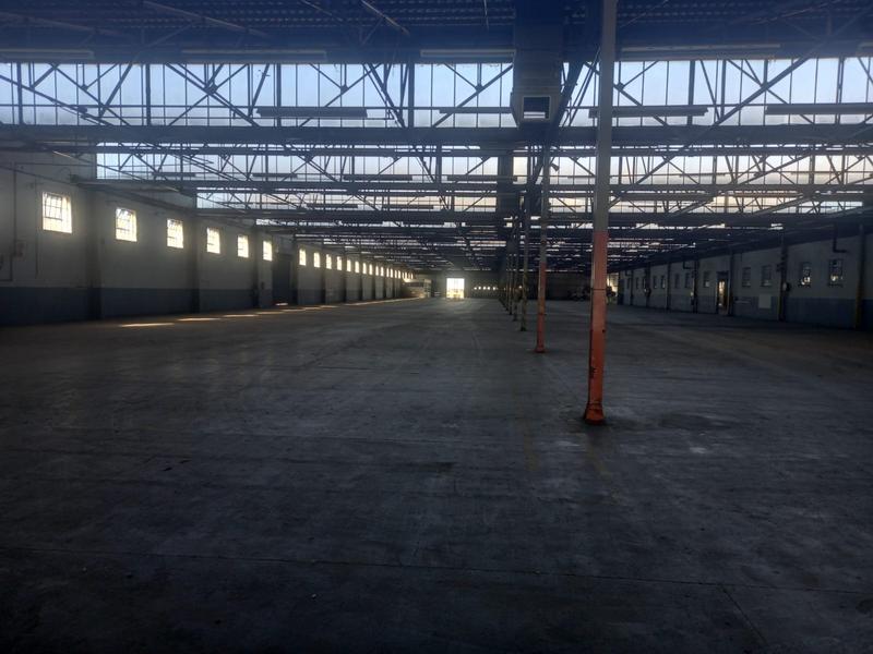 To Let commercial Property for Rent in North End Eastern Cape